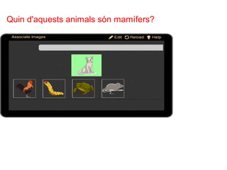 ELS ANIMALS
Quin d'aquests animals són mamífers?
 