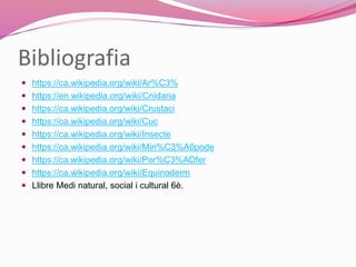 Bibliografia
 https://ca.wikipedia.org/wiki/Ar%C3%
 https://en.wikipedia.org/wiki/Cnidaria
 https://ca.wikipedia.org/wiki/Crustaci
 https://ca.wikipedia.org/wiki/Cuc
 https://ca.wikipedia.org/wiki/Insecte
 https://ca.wikipedia.org/wiki/Miri%C3%A0pode
 https://ca.wikipedia.org/wiki/Por%C3%ADfer
 https://ca.wikipedia.org/wiki/Equinoderm
 Llibre Medi natural, social i cultural 6è.
 