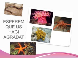 ESPEREM
QUE US
HAGI
AGRADAT
.
 