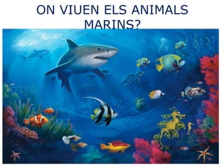ON VIUEN ELS ANIMALS
MARINS?
 