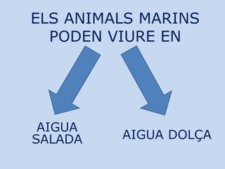 ELS ANIMALS MARINS
PODEN VIURE EN
AIGUA
SALADA AIGUA DOLÇA
 