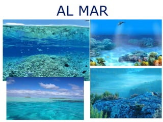 AL MAR
 
