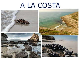 A LA COSTA
 