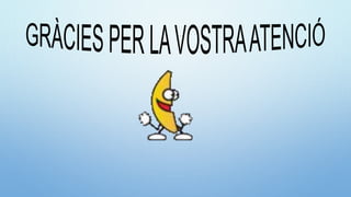 Els animals marins estranys