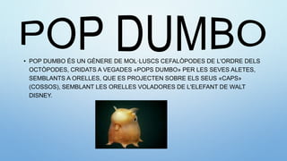 • POP DUMBO ÉS UN GÈNERE DE MOL·LUSCS CEFALÒPODES DE L'ORDRE DELS
OCTÒPODES, CRIDATS A VEGADES «POPS DUMBO» PER LES SEVES ALETES,
SEMBLANTS A ORELLES, QUE ES PROJECTEN SOBRE ELS SEUS «CAPS»
(COSSOS), SEMBLANT LES ORELLES VOLADORES DE L'ELEFANT DE WALT
DISNEY.
 