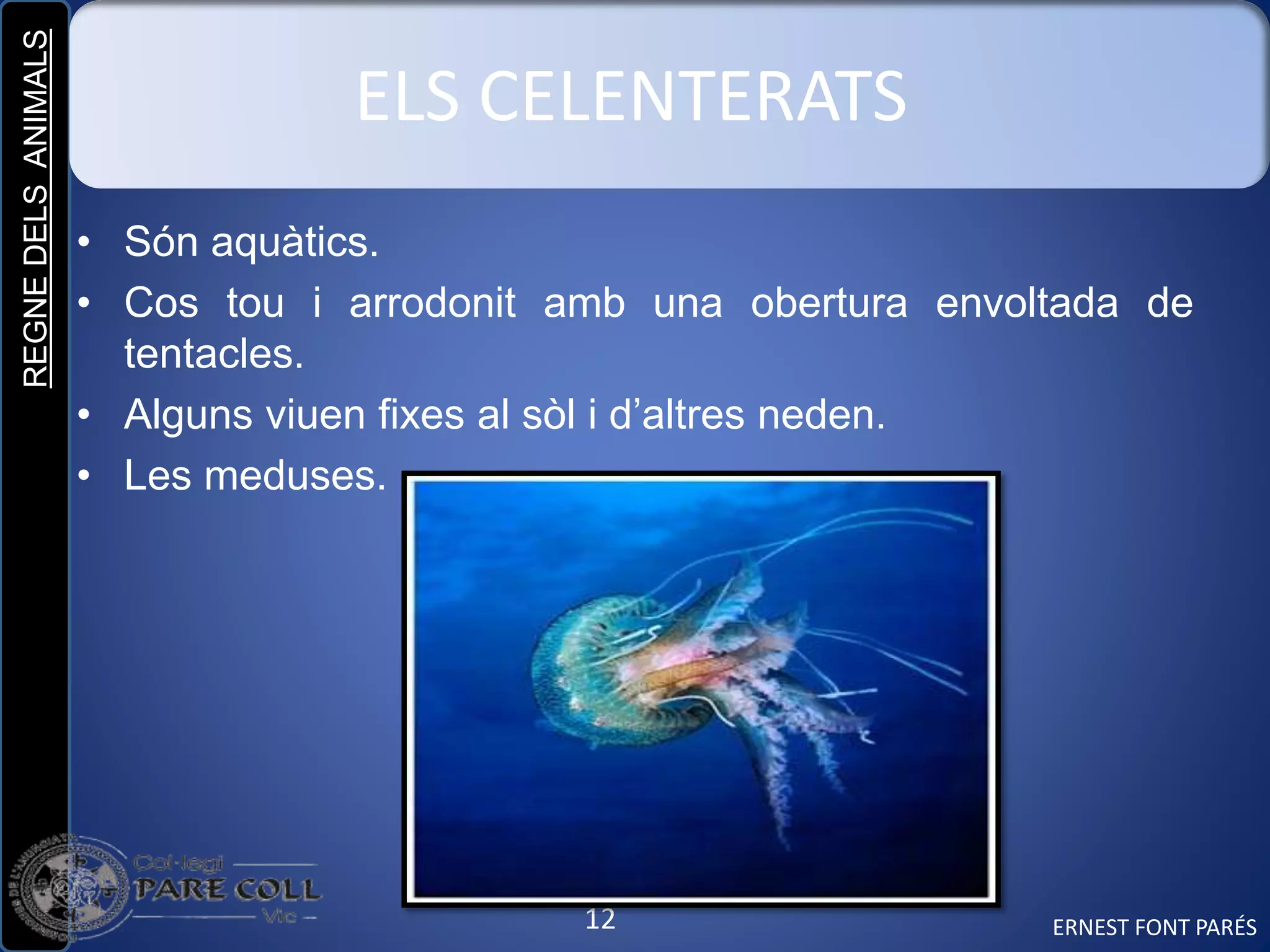 REGNEDELSANIMALS
12
ELS CELENTERATS
• Són aquàtics.
• Cos tou i arrodonit amb una obertura envoltada de
tentacles.
• Alguns viuen fixes al sòl i d’altres neden.
• Les meduses.
ERNEST FONT PARÉS
 