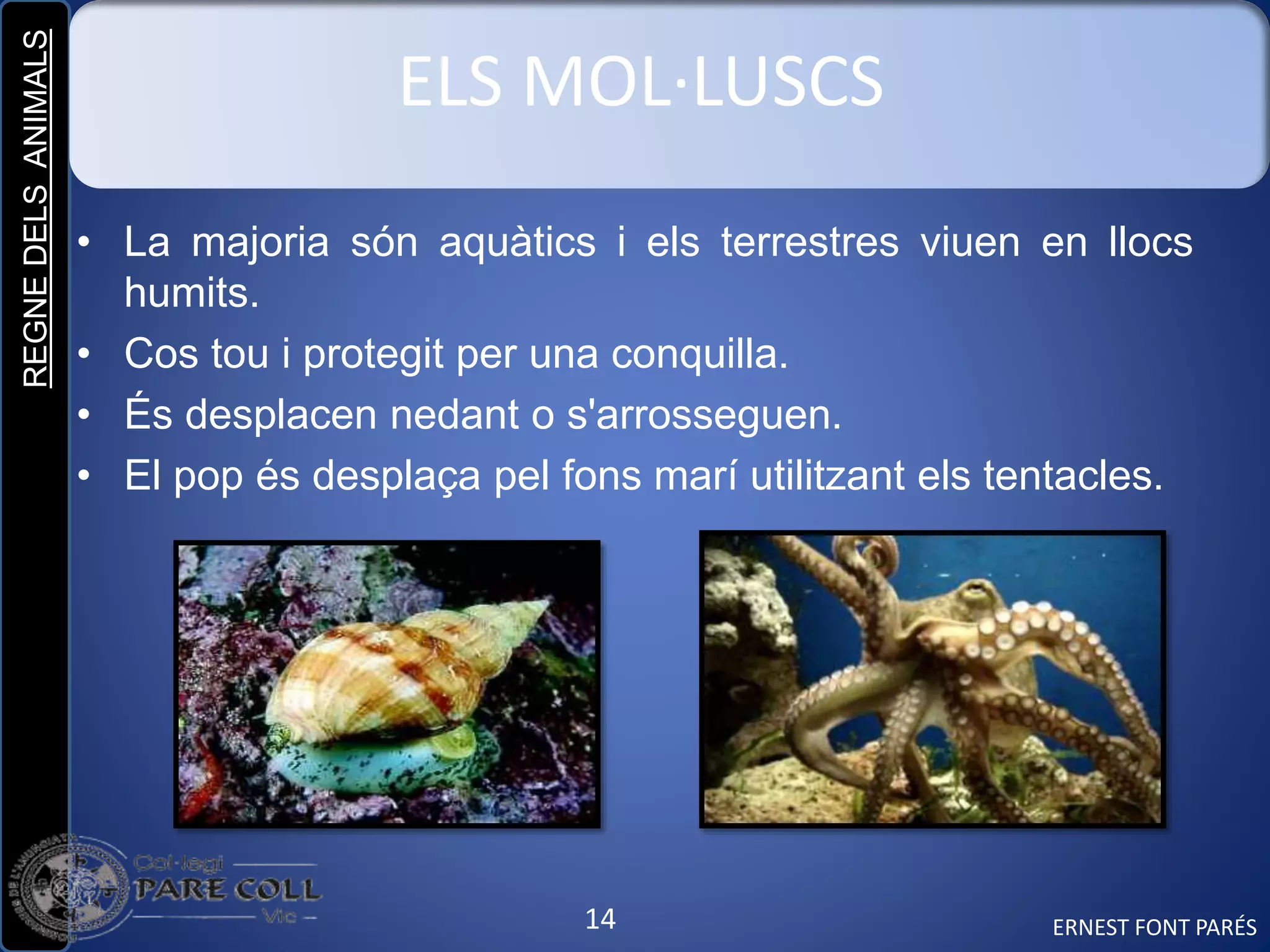 REGNEDELSANIMALS
14
ELS MOL·LUSCS
• La majoria són aquàtics i els terrestres viuen en llocs
humits.
• Cos tou i protegit per una conquilla.
• És desplacen nedant o s'arrosseguen.
• El pop és desplaça pel fons marí utilitzant els tentacles.
ERNEST FONT PARÉS
 