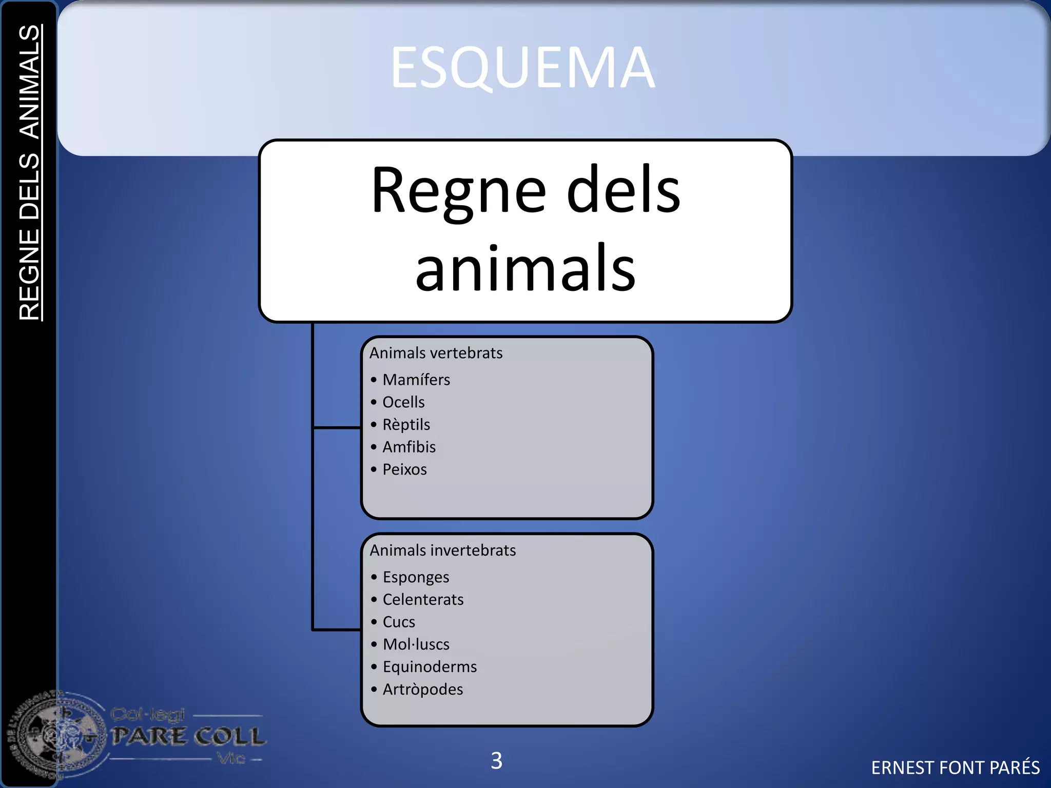 REGNEDELSANIMALS
3
ESQUEMA
ERNEST FONT PARÉS
Regne dels
animals
Animals vertebrats
• Mamífers
• Ocells
• Rèptils
• Amfibis
• Peixos
Animals invertebrats
• Esponges
• Celenterats
• Cucs
• Mol·luscs
• Equinoderms
• Artròpodes
 