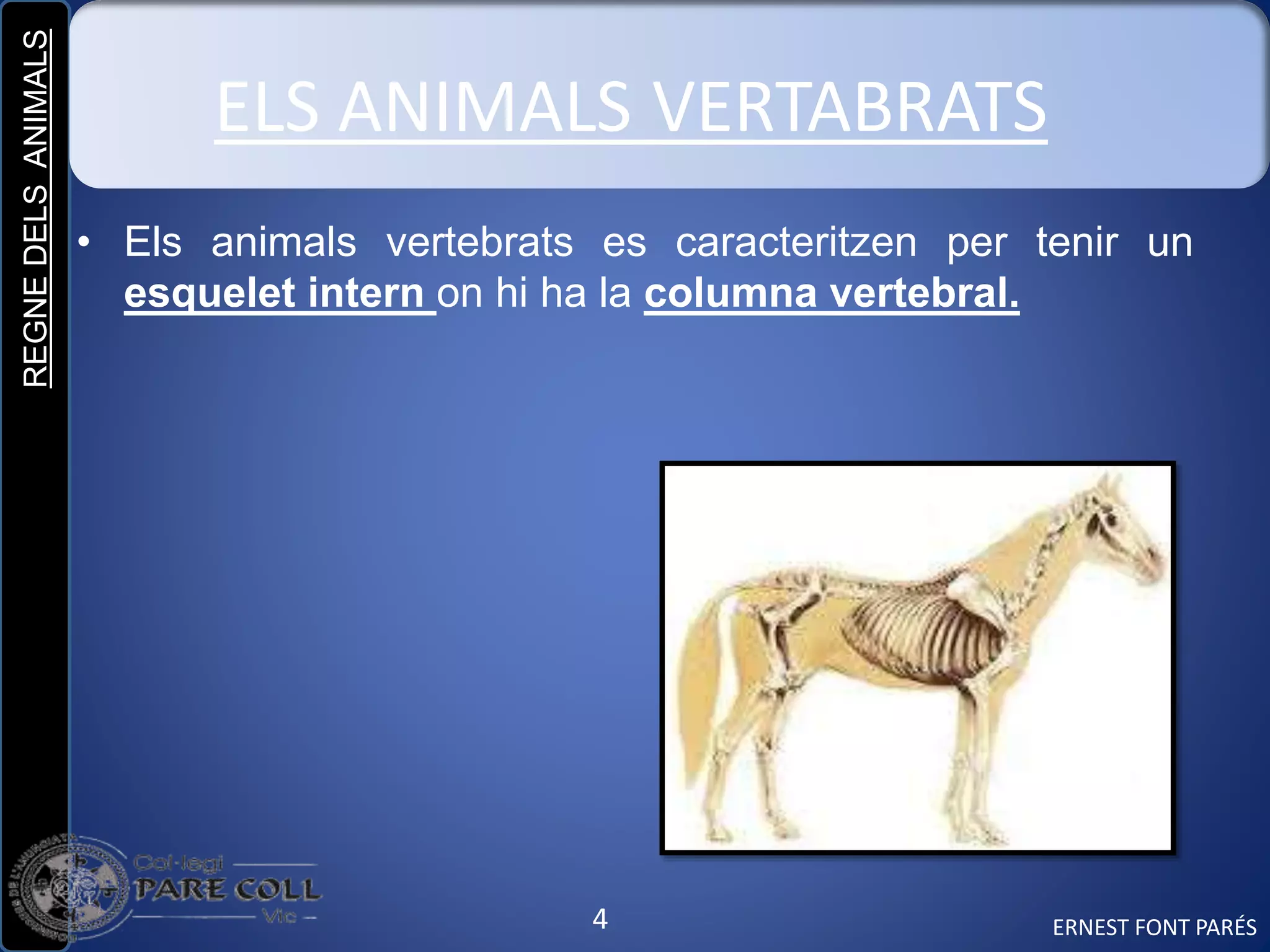REGNEDELSANIMALS
4
ELS ANIMALS VERTABRATS
• Els animals vertebrats es caracteritzen per tenir un
esquelet intern on hi ha la columna vertebral.
ERNEST FONT PARÉS
 