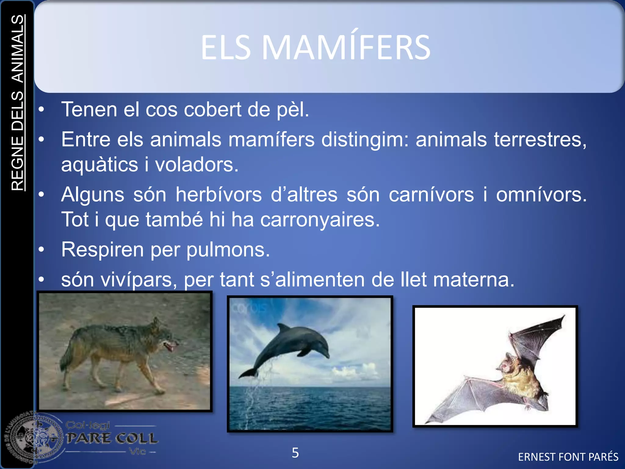 REGNEDELSANIMALS
5
ELS MAMÍFERS
• Tenen el cos cobert de pèl.
• Entre els animals mamífers distingim: animals terrestres,
aquàtics i voladors.
• Alguns són herbívors d’altres són carnívors i omnívors.
Tot i que també hi ha carronyaires.
• Respiren per pulmons.
• són vivípars, per tant s’alimenten de llet materna.
ERNEST FONT PARÉS
 