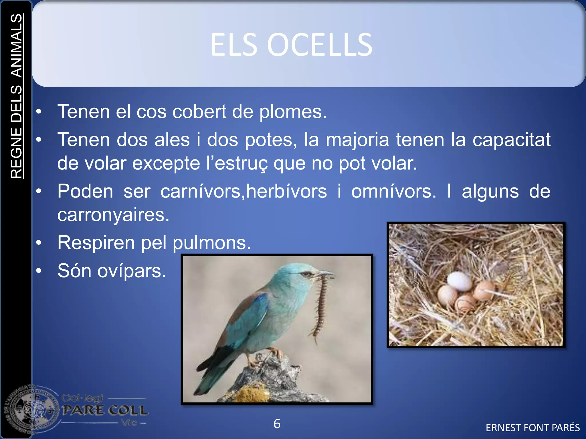 REGNEDELSANIMALS
6
ELS OCELLS
• Tenen el cos cobert de plomes.
• Tenen dos ales i dos potes, la majoria tenen la capacitat
de volar excepte l’estruç que no pot volar.
• Poden ser carnívors,herbívors i omnívors. I alguns de
carronyaires.
• Respiren pel pulmons.
• Són ovípars.
ERNEST FONT PARÉS
 