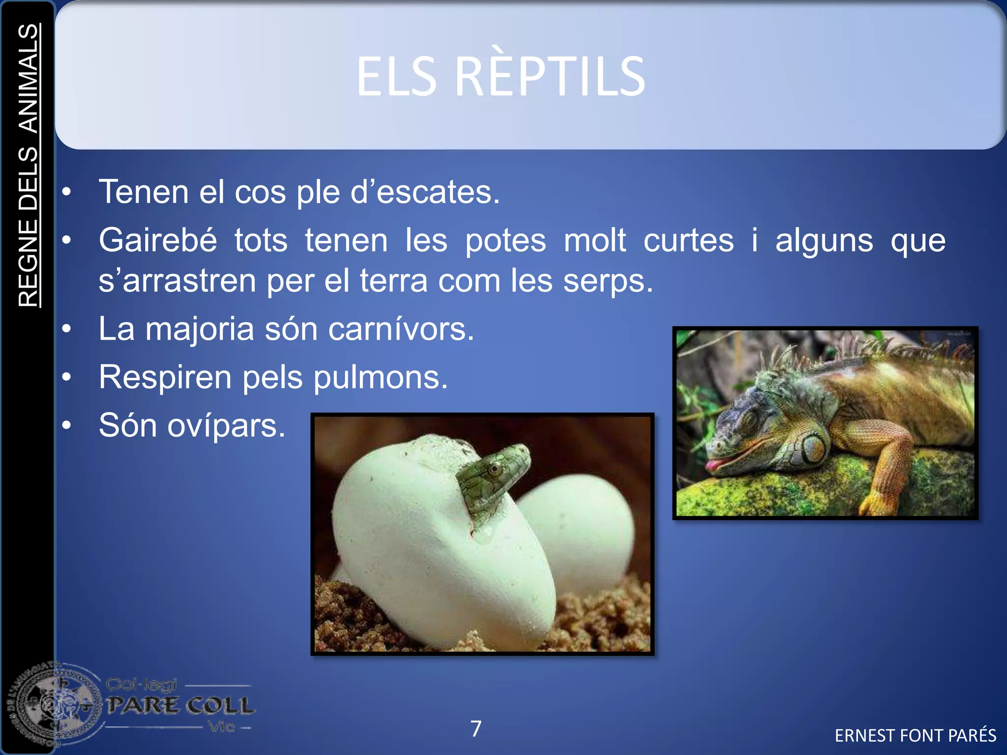 REGNEDELSANIMALS
7
ELS RÈPTILS
• Tenen el cos ple d’escates.
• Gairebé tots tenen les potes molt curtes i alguns que
s’arrastren per el terra com les serps.
• La majoria són carnívors.
• Respiren pels pulmons.
• Són ovípars.
ERNEST FONT PARÉS
 
