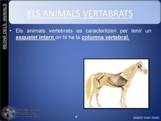 Els animals vertebrats i invertebrats