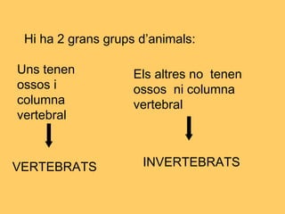 Hi ha 2 grans grups d’animals:
Uns tenen
ossos i
columna
vertebral
Els altres no tenen
ossos ni columna
vertebral
VERTEBRATS INVERTEBRATS
 