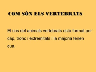 El cos del animals vertebrats està format per
cap, tronc i extremitats i la majoria tenen
cua.
COM SÓN ELS VERTEBRATS
 
