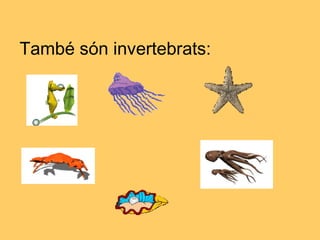 També són invertebrats:
 