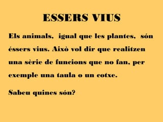 Els animals, igual que les plantes, són
éssers vius. Això vol dir que realitzen
una sèrie de funcions que no fan, per
exemple una taula o un cotxe.
Sabeu quines són?
ESSERS VIUS
 
