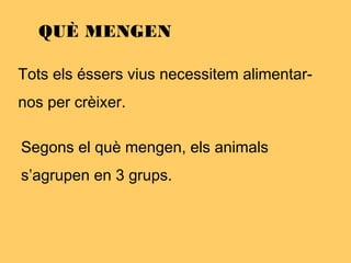 QUÈ MENGEN
Tots els éssers vius necessitem alimentar-
nos per crèixer.
Segons el què mengen, els animals
s’agrupen en 3 grups.
 