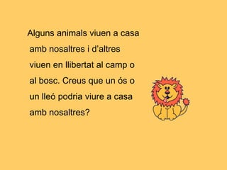 Alguns animals viuen a casa
amb nosaltres i d’altres
viuen en llibertat al camp o
al bosc. Creus que un ós o
un lleó podria viure a casa
amb nosaltres?
 