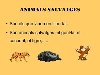 ANIMALS SALVATGES
• Són els que viuen en llibertat.
• Són animals salvatges: el goril·la, el
cocodril, el tigre,.....
 