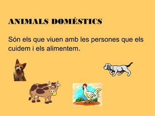 ANIMALS DOMÉSTICS
Són els que viuen amb les persones que els
cuidem i els alimentem.
 