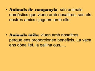 • Animals de companyia: són animals
domèstics que viuen amb nosaltres, són els
nostres amics i juguem amb ells.
• Animals útils: viuen amb nosaltres
perquè ens proporcionen beneficis. La vaca
ens dóna llet, la gallina ous,....
 