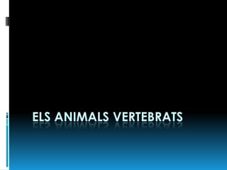 ELS ANIMALS VERTEBRATS
 