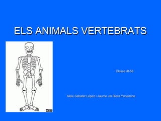 ELS ANIMALS VERTEBRATS

Classe 4t-5é

Aleix Sabater López i Jaume Jin Riera Yonamine

 