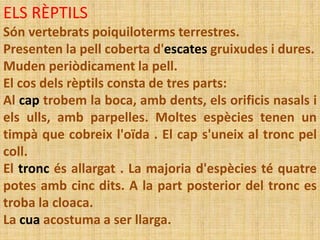 ELS RÈPTILS
Són vertebrats poiquiloterms terrestres.
Presenten la pell coberta d'escates gruixudes i dures.
Muden periòdicament la pell.
El cos dels rèptils consta de tres parts:
Al cap trobem la boca, amb dents, els orificis nasals i
els ulls, amb parpelles. Moltes espècies tenen un
timpà que cobreix l'oïda . El cap s'uneix al tronc pel
coll.
El tronc és allargat . La majoria d'espècies té quatre
potes amb cinc dits. A la part posterior del tronc es
troba la cloaca.
La cua acostuma a ser llarga.
 
