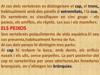 Al cos dels vertebrats es distingeixen el cap, el tronc,
habitualment amb dos parells d´extremitats, i la cua.
Els vertebrats es classifiquen en cinc grups : els
peixos, els amfibis, els rèptils. Les aus i els mamífers.
ELS PEIXOS
Son vertebrats poiquiloterms de vida aquàtica.El seu
cos presenta,habitualment forma de fus.
Al cos dels peixos hi distingim tres parts:
Al cap hi trobem la boca, amb dents, els orificis
nasals i els ulls, sense parpelles. La part posterior del
cap es caracteritza per unes obertures,les fenedures
branquials, on s'allotgen les brànquies.
 