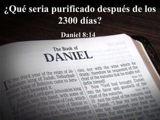 ¿Qué seria purificado después de los 2300 días? Daniel 8:14  