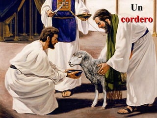 Un
cordero
 