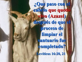 ¿Que paso con el
cabrio que quedo
  vivo (Azazel)
después de que el
   proceso de
    limpiar el
  santuario fue
  completado?
 Levíticos 16:20, 21
 