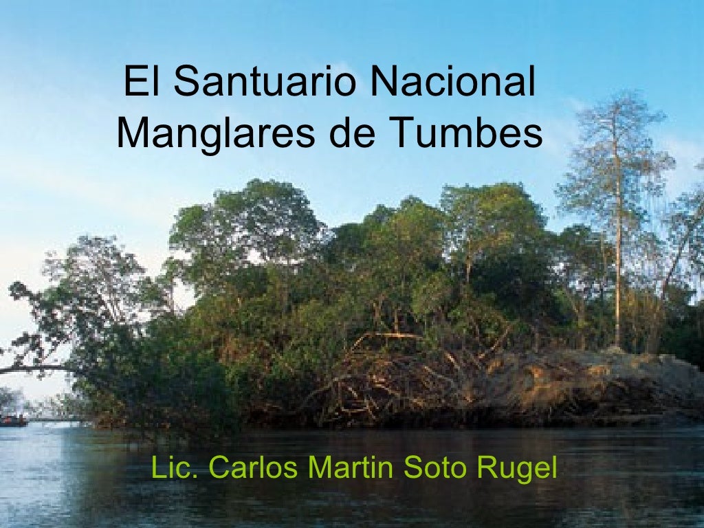 El Santuario Nacional Manglares De Tumbes