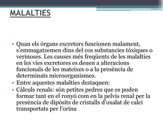 MALALTIES


• Quan els òrgans excretors funcionen malament,
  s’emmagatzemen dins del cos substancies tòxiques o
  verinoses. Les causes més freqüents de les malalties
  en les vies excretores es deuen a alteracions
  funcionals de les mateixes o a la presència de
  determinats microorganismes.
• Entre aquestes malalties destaquen:
• Càlculs renals: són petites pedres que es poden
  formar tant en el ronyó com en la pelvis renal per la
  presència de dipòsits de cristalls d’oxalat de calci
  transportats per l’orina
 