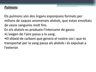 Pulmons

Els pulmons són dos òrgans esponjosos formats per
milions de saques anomenats alvèols, que estan envoltats
de vasos sanguinis molt fins.
En els alvèols es produeix l'intercanvi de gasos:
•L'oxigen de l'aire passa a la sang.
•El diòxid de carboni que genera el nostre cos i que és
transportat per la sang passa als alvèols i és expulsat a
l'exterior.
 