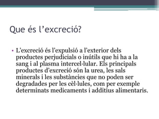 Que és l’excreció?

• L’excreció és l’expulsió a l’exterior dels
  productes perjudicials o inútils que hi ha a la
  sang i al plasma intercel·lular. Els principals
  productes d’excreció són la urea, les sals
  minerals i les substàncies que no poden ser
  degradades per les cèl·lules, com per exemple
  determinats medicaments i additius alimentaris.
 