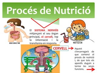 Procés de Nutrició
    El SISTEMA NERVIÓS
    mitjançant el seu òrgan
    principal, el cervell, rep
    la informació i la
    transforma en resposta.

                         CERVELL   Aquest
                                   s’encarregarà de
                                   que comenci el
                                   procés de nutrició
                                   i, de que tots els
                                   aparells duguin a
                                   terme les seves
                                   funcions.
 