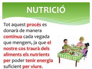 NUTRICIÓ
Tot aquest procés es
donarà de manera
contínua cada vegada
que mengem, ja que el
nostre cos traurà dels
aliments els nutrients
per poder tenir energia
suficient per viure.
 