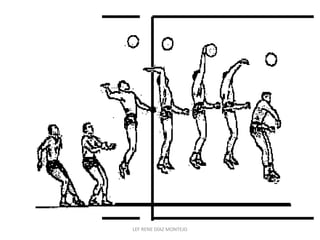 LEF RENE DÍAZ MONTEJO 
 