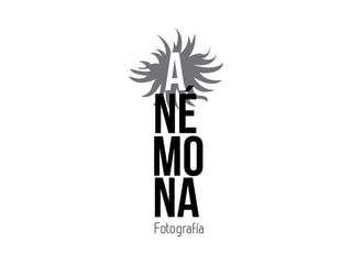 NÉ
mo
naFotografía
 