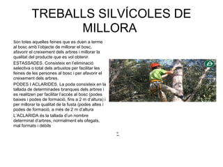TREBALLS SILVÍCOLES DE
MILLORA
Són totes aquelles feines que es duen a terme
al bosc amb l’objecte de millorar el bosc,
afavorir el creixement dels arbres i millorar la
qualitat del producte que es vol obtenir.
ESTASSADES. Consisteix en l’eliminació
selectiva o total dels arbustos per facilitar les
feines de les persones al bosc i per afavorir el
creixement dels arbres.
PODES I ACLARIDES. La poda consisteix en la
tallada de determinades branques dels arbres i
es realitzen per facilitar l’accés al bosc (podes
baixes i podes de formació, fins a 2 m d’altura) i
per millorar la qualitat de la fusta (podes altes i
podes de formació, a més de 2 m d’altura
L’ACLARIDA és la tallada d’un nombre
determinat d’arbres, normalment els ofegats,
mal formats i dèbils
C
o
l
u
m
n
a
1
C
o
l
u
m
n
a
2
C
o
l
u
m
n
a
3
 