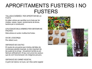 APROFITAMENTS FUSTERS I NO
FUSTERS
TALLADA D’ARBRES PER APROFITAR-NE LA
FUSTA
Es tallen arbres per aprofitar-ne la fusta per fer
mobles, caixes, cases, recobriments de terres,
taulons per a construcció
UTILITZACIÓ DELS ARBRES PER OBTENIR-NE
FRUITES
Dels arbres en surten multitud de fruites
ÚS DE L’ESCORÇA
Per obtenir suro
OBTENCIÓ DE CAUTXÚ
El cautxú és una goma que s'extreu del làtex de
nombroses plantes tropicals, la més important de
les quals és la siringa . Actualment també es pot
fabricar artificialment. El seu nom prové de cautxuc
que és com l'anomenaven els indígenes peruans.
OBTENCIÓ DE CARBÓ VEGETAL
A partir de l’alzina i el roure, se’n feia carbó vegetal
 