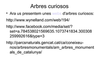 Arbres curiosos

Ara us presentem unes webs d'arbres curiosos:
http://www.wynelland.com/web/194/
http://www.facebook.com/media/set/?
set=a.784538021569635.1073741834.300308
259992616&type=3
http://parcsnaturals.gencat.cat/ca/coneixeu-
nos/arbresmonumentals/am_arbres_monument
als_de_catalunya/
 