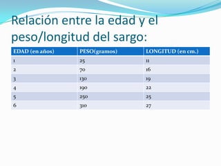 Relación entre la edad y el
peso/longitud del sargo:
EDAD (en años) PESO(gramos) LONGITUD (en cm.)
1 25 11
2 70 16
3 130 19
4 190 22
5 250 25
6 310 27
 