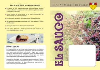 APLICACIONES Y PROPIEDADES
El saúco es una planta medicinal utilizada desde tiempos
antiguos. Contiene aceites esenciales, ácidos orgánicos, azúcar
y abundante vitamina C.

Como infusión de ﬂores secas, es un buen remedio para las
afecciones de las vías respiratorias.

Es depurativo, diurético, útil en afecciones renales y laxante.

Se usa externamente en compresas para bajar la ﬁebre y baños
para los ojos.

El vinagre de saúco se utiliza como desinfectante.

Los frutos frescos y maduros también se emplean en
mermeladas, jarabes y vinos.




CONCLUSION
En la actualidad las personas están consumiendo compuestos
químicos llamados pastillas o antibióticos entre muchos otros,
seria bueno que cambiaran esta idea, y lograr que muchos
individuos pensaran en que una pastilla podría ser reemplazada
en algunos casos por la medicina natural, por una planta
medicinal y ser la cura para diferentes enfermedades.

Como se ha explicado en el trabajo el sauco contribuye a reducir
la inﬂamación de las vías respiratorias y todas sus consecuencias
anteriormente descritas, el sauco puede ser una solución a
estos síntomas y/o enfermedades.
 