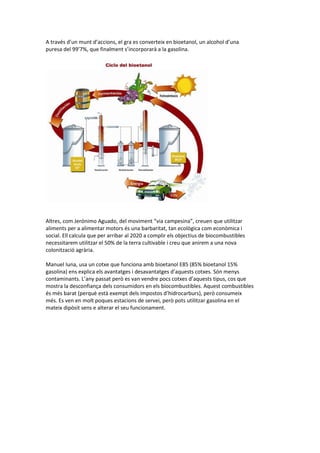 A través d’un munt d’accions, el gra es converteix en bioetanol, un alcohol d’una
puresa del 99’7%, que finalment s’incorporarà a la gasolina.




Altres, com Jerónimo Aguado, del moviment “via campesina”, creuen que utilitzar
aliments per a alimentar motors és una barbaritat, tan ecològica com econòmica i
social. Ell calcula que per arribar al 2020 a complir els objectius de biocombustibles
necessitarem utilitzar el 50% de la terra cultivable i creu que anirem a una nova
colonització agrària.

Manuel Iuna, usa un cotxe que funciona amb bioetanol E85 (85% bioetanol 15%
gasolina) ens explica els avantatges i desavantatges d’aquests cotxes. Són menys
contaminants. L’any passat però es van vendre pocs cotxes d’aquests tipus, cos que
mostra la desconfiança dels consumidors en els biocombustibles. Aquest combustibles
és més barat (perquè està exempt dels impostos d’hidrocarburs), però consumeix
més. Es ven en molt poques estacions de servei, però pots utilitzar gasolina en el
mateix dipòsit sens e alterar el seu funcionament.
 