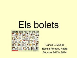 Els bolets
Carlos L. Muñoz
Escola Pompeu Fabra
5è, curs 2013 - 2014

 
