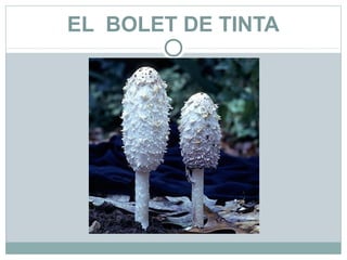 EL BOLET DE TINTA
 