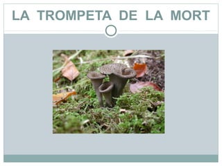 LA TROMPETA DE LA MORT
 